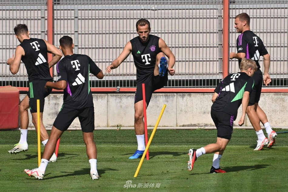 进的依赖度 进的依赖度