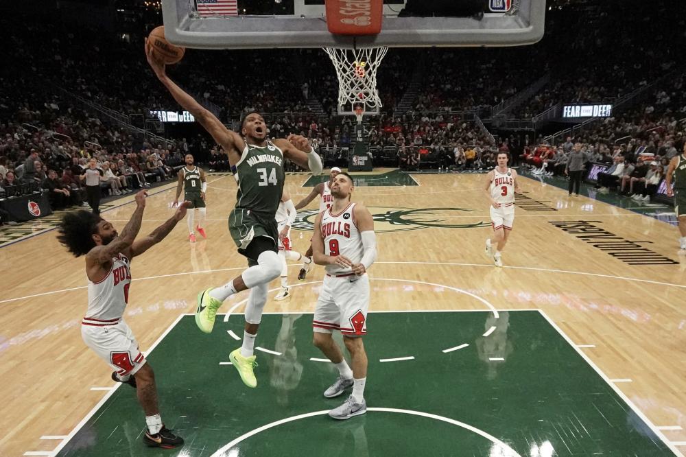 这种理念 这种理念