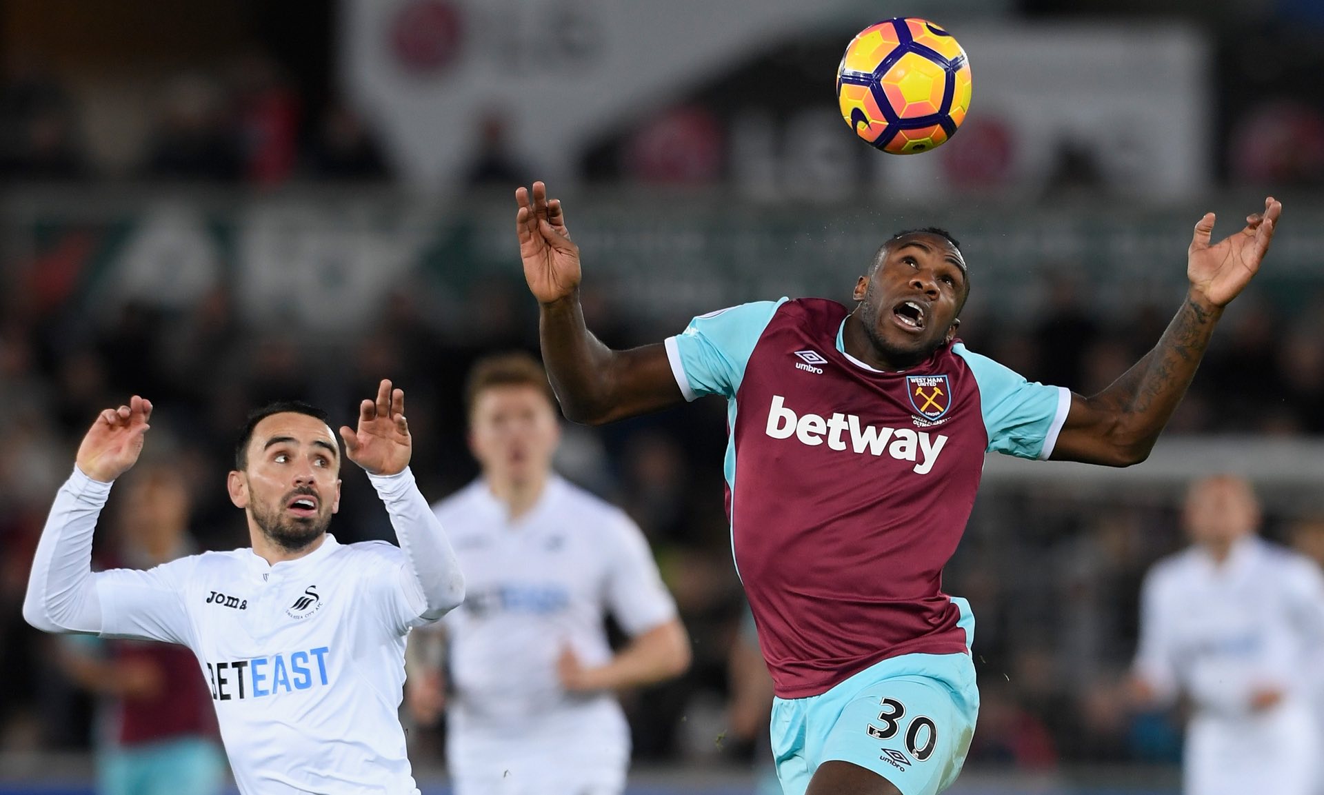 提供未来保 提供未来保