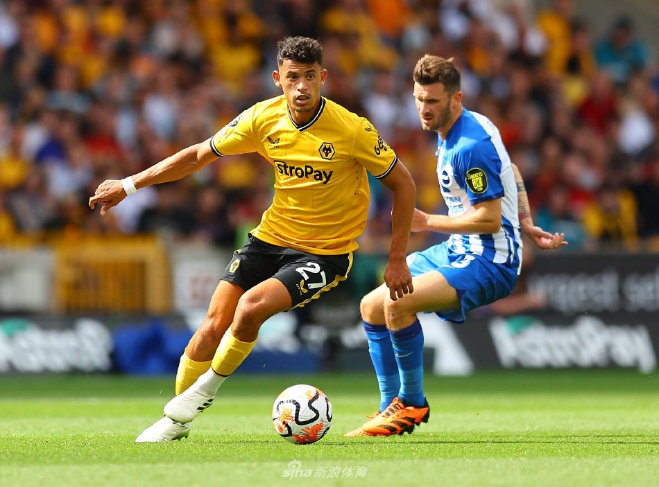 竞技与观赏 竞技与观赏